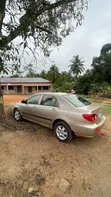 Toyota Corolla 2008 Gold - 4