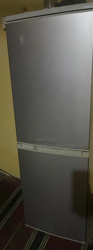 GE Double Door Fridge - Silver