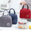 Insulated Lunch Bag (Mini) - 2