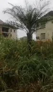 Full Plot for Sale at Ejisu Donaso - 2