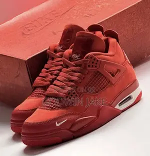 Air Jordan 4 Retro Nigel Sylvester x Bike Air