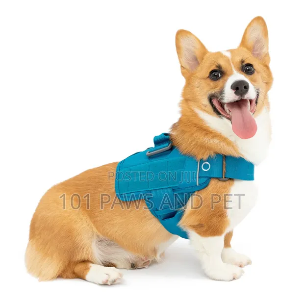 RSG Dog Townie Harness - 1