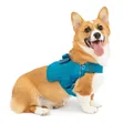 RSG Dog Townie Harness - 1
