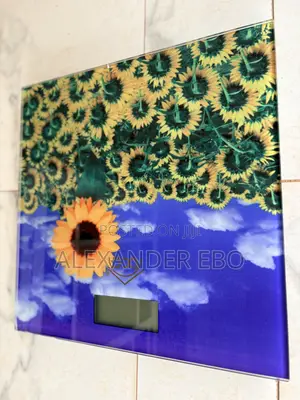 Digital Home Weighing Scale