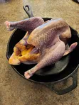 Organic Guinea Fowls for Sale - 3