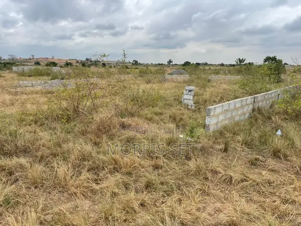 Registered Land for Sale at Apolonia City - 1