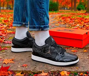 Low Jordan Limited Edition Sneakers
