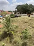 Titled 90x100ft Land at Oyarifa Ankonam - 5