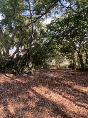 6 Plots of Land for Sale at Peduase, Accra View