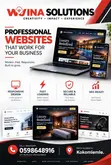 Professional Website Design & Web Application Development - 1