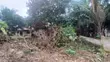 3-Bedroom House for Sale in Nkawkaw, Kyidom - 4