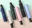 Aeropostale Windproof Umbrella - 2