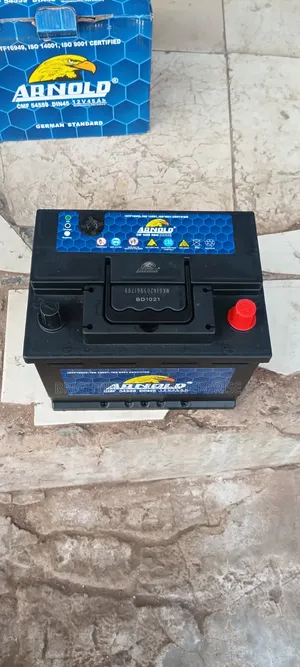 Arnold 13 Plate Car Battery