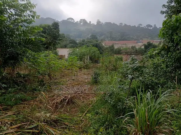 Plots of Land for Sale - Aburi Kitase - 1