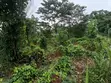 Plots of Land for Sale - Aburi Kitase - 2
