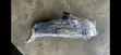 Acura RDX 2020 Fog Light - 2