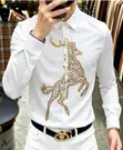 Classic Designer Shirts - 2