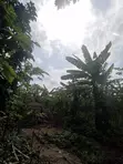 1 Plot of Land at Nsawam Okanta - 2