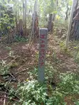 1 Plot of Land at Nsawam Okanta - 3