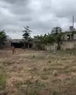 Two Plots of Land for Sale at Pokuase Ayawaso - 1