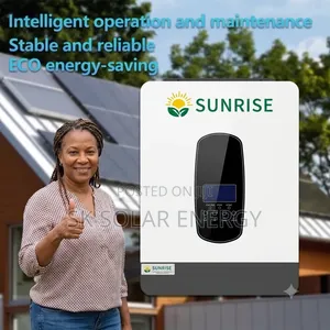 Sunshine Gold 4.2kW Solar Hybrid Inverter (12V/24V)