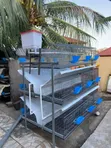Brand New Rabbit Cage System - 1