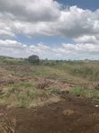 100sqm Litigation-Free Land for Sale in Sege - 2