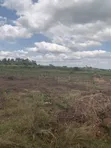 Mixed-Use Land for Sale in Prampram - 1
