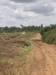 Mixed-Use Land for Sale in Prampram - 2