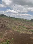 Madula Group Land for Sale - Dodoma Agormenda - 2
