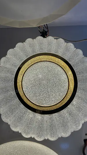 3-Color Ceiling Light
