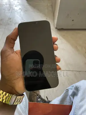 Apple iPhone 12 Pro Max 256GB Gray