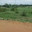 8 Acres Commercial Land on Tema Motorway - 4