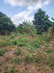 One Acre Land for Sale at Paraku Estate - 3