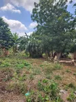 One Acre Land for Sale at Paraku Estate - 5