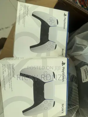 PS5 Game Controllers