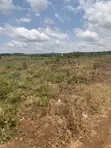 Secure Land Ownership in Ofankor - 2