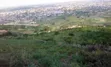 6 Plots of Titled Hillside Land in Aburi - 1