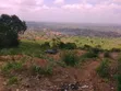 6 Plots of Titled Hillside Land in Aburi - 2