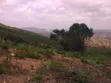 6 Plots of Titled Hillside Land in Aburi - 3