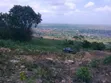 6 Plots of Titled Hillside Land in Aburi - 4