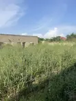 Half Plot with Foundation and Flow in Ejisu-Juaben - 3