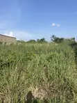 Half Plot with Foundation and Flow in Ejisu-Juaben - 5