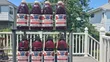 Kirkland Cranberry Juice Blend - 2