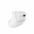 Havit MS550G Ergonomic Vertical Mouse - White - 1