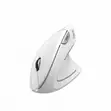 Havit MS550G Ergonomic Vertical Mouse - White - 2