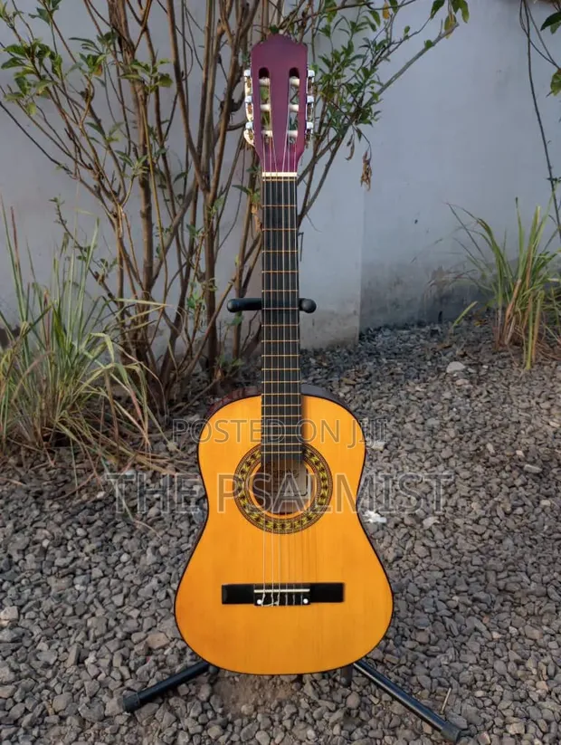 Encore ENC120FT 3/4 Size Classical Guitar with Bag - 1