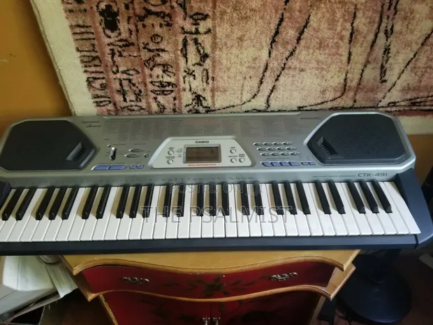Casio CTK-491 Portable Keyboard with Adapter - 1