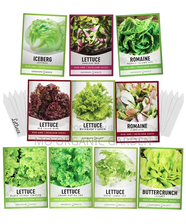 Lettuce Seeds - Various Varieties Available - 1