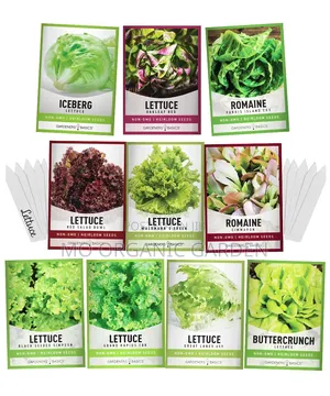 Lettuce Seeds - Various Varieties Available